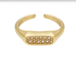 Langwerpige RVS ring met steentjes