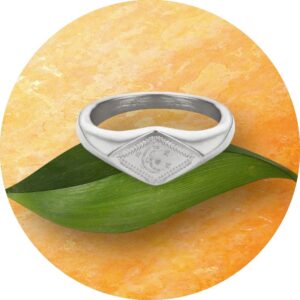 Ring RVS Universe, met maan en sterren
