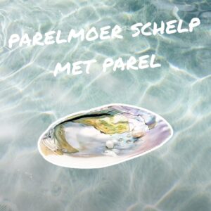 Parelmoer schelp met pareltje
