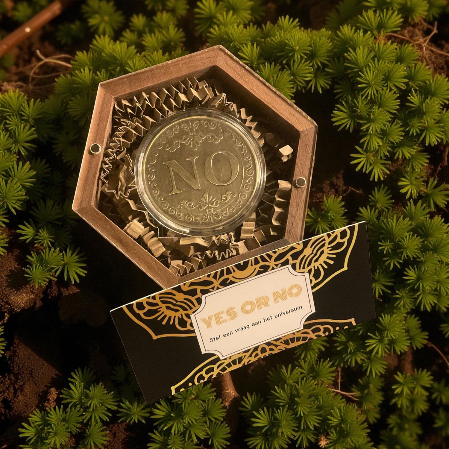 Betoverende Ja/Nee Munt