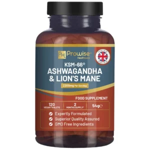 KSM-66 Ashwagandha en Lion’s Mane. 120 VEGAN tablet