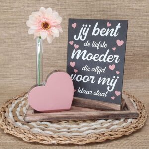 Cadeau box ALLERLIEFSTE MOEDER