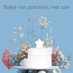 Heel mooi keramieken bakje met ster